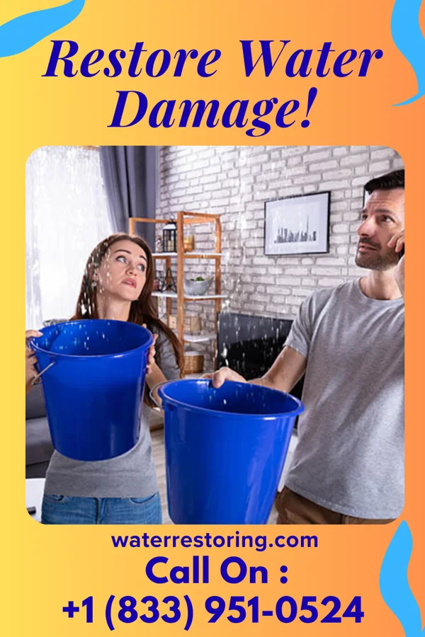 water restoration Vigilant Water Repair Brothers Baltimore Highlands