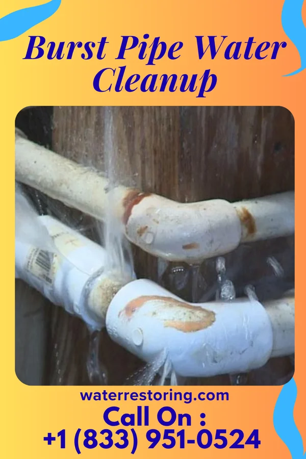 Burst Pipe Water Cleanup in Baltimore Highlands, MD