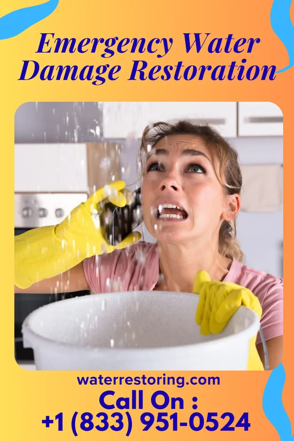 Emergency Water Damage Restoration in Baltimore Highlands, MD