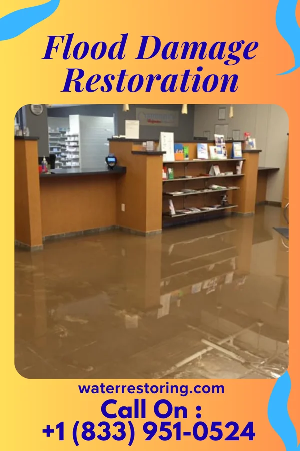 Flood Damage Restoration in Baltimore Highlands, MD