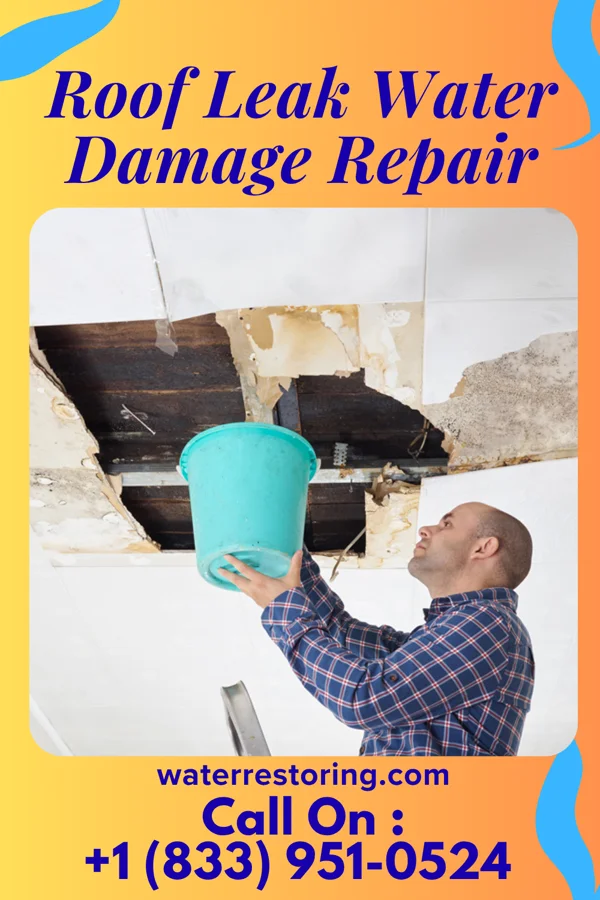 Roof Leak Water Damage Repair in Baltimore Highlands, MD
