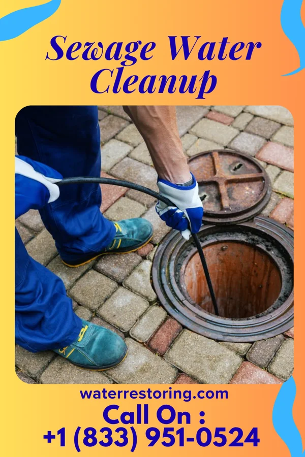 Sewage Water Cleanup in Baltimore Highlands, MD