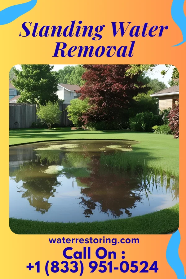 Standing Water Removal in Baltimore Highlands, MD